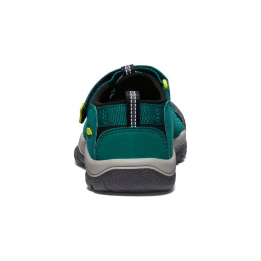 Big Kids' Newport H2  |  Aventurine/Evening Primrose - Image 5