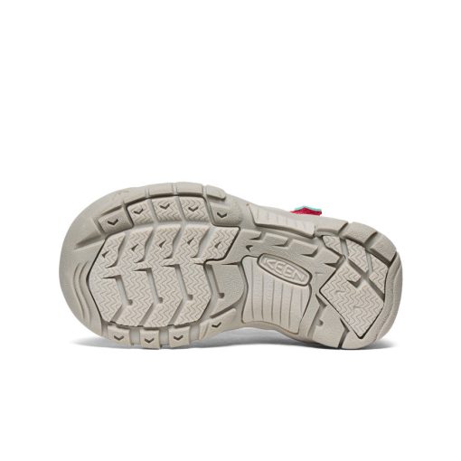 Little Kids' Newport H2  |  Raspberry/Giggle Pink - Image 6
