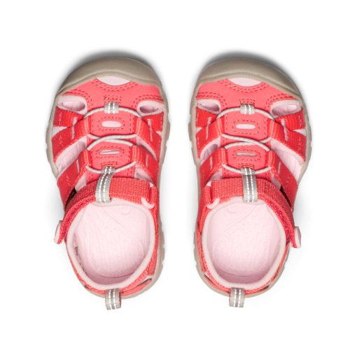 Toddlers' Seacamp II CNX  |  Dubarry/Giggle Pink - Image 4