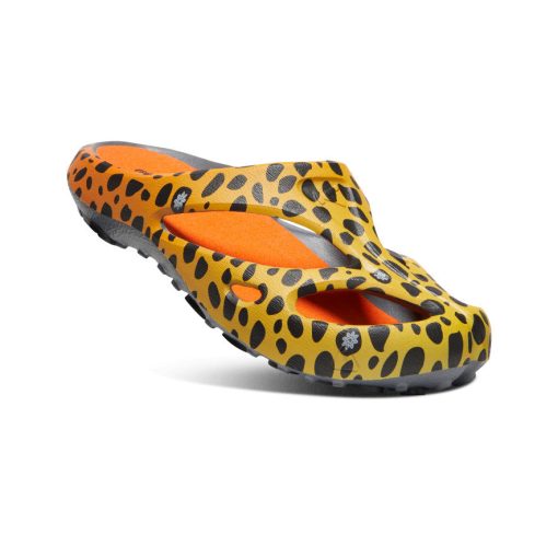Men's Shanti Arts  |  THC Cheetah Rainbow - Image 3