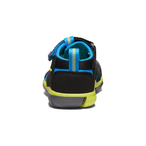Little Kids' Seacamp II CNX  |  Black/Brilliant Blue - Image 6