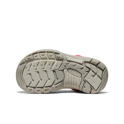 Little Kids' Newport Boundless Sandal  |  Dubarry/Evening Primrose - Image 6