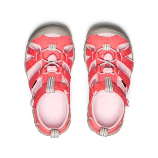 Little Kids' Seacamp II CNX  |  Dubarry/Giggle Pink - Image 3