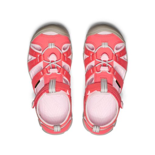 Big Kids' Seacamp II CNX  |  Dubarry/Giggle Pink - Image 4