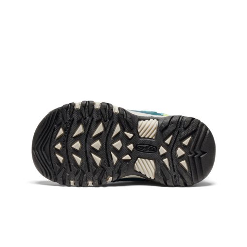 Little Kids' Targhee IV Waterproof Hiking Shoe  |  Reef Waters/Daiquiri Green - Image 6