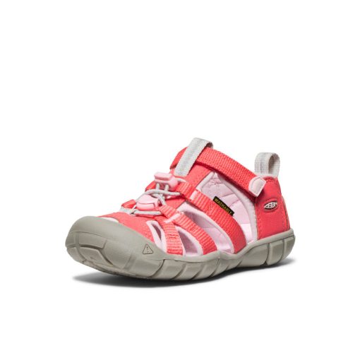 Little Kids' Seacamp II CNX  |  Dubarry/Giggle Pink - Image 2