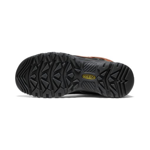 Men's Targhee IV Waterproof Hiking Boot  |  Bison/Black - Image 6