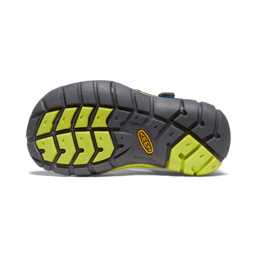 Little Kids' Seacamp II CNX  |  Black/Brilliant Blue - Image 5