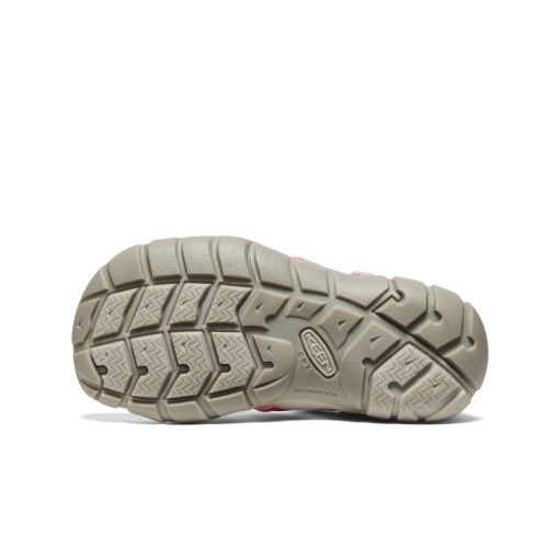 Little Kids' Seacamp II CNX  |  Dubarry/Giggle Pink - Image 6