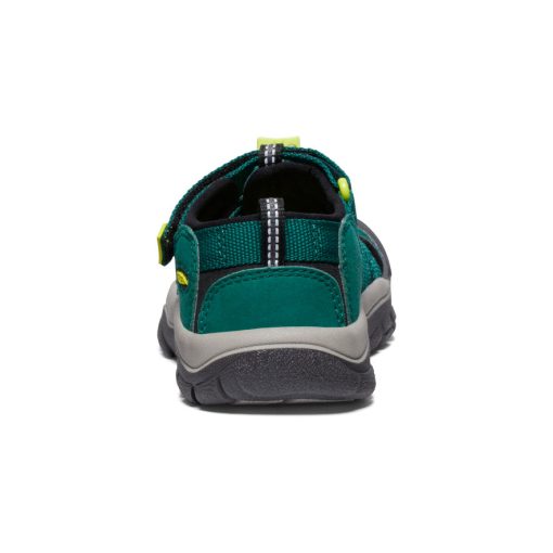 Little Kids' Newport H2  |  Aventurine/Evening Primrose - Image 5