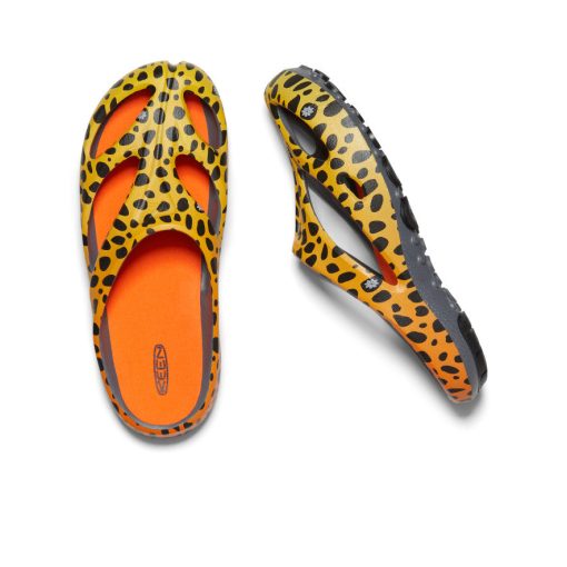 Men's Shanti Arts  |  THC Cheetah Rainbow - Image 4