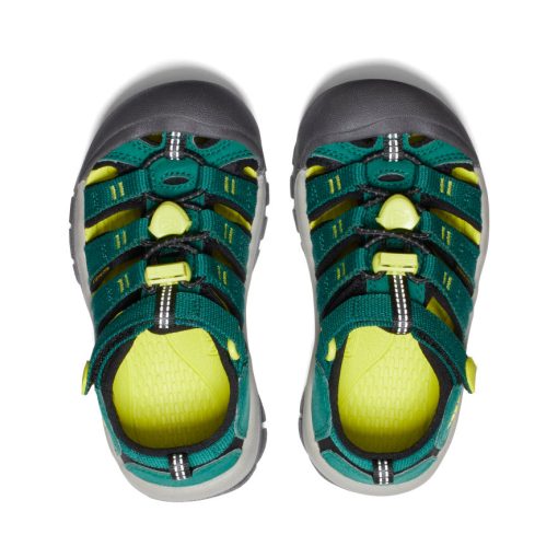 Little Kids' Newport H2  |  Aventurine/Evening Primrose - Image 4