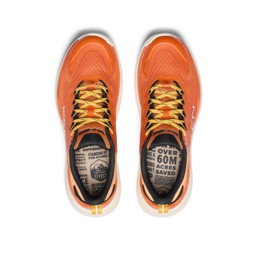 Men's WK450 Walking Shoe  |  Gold Flame/Golden Spice - Image 4