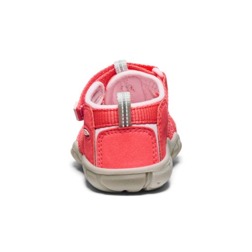 Toddlers' Seacamp II CNX  |  Dubarry/Giggle Pink - Image 5