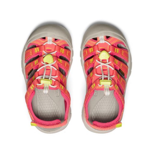 Little Kids' Newport Boundless Sandal  |  Dubarry/Evening Primrose - Image 4